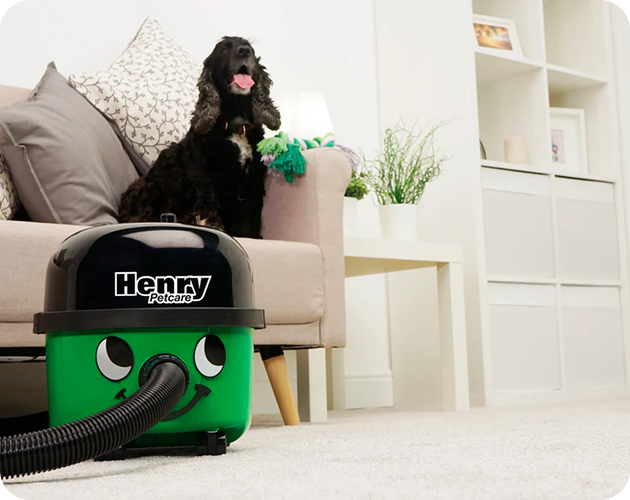 Henry Vacuum Pet Friendly Clean Home - My Henry Canada