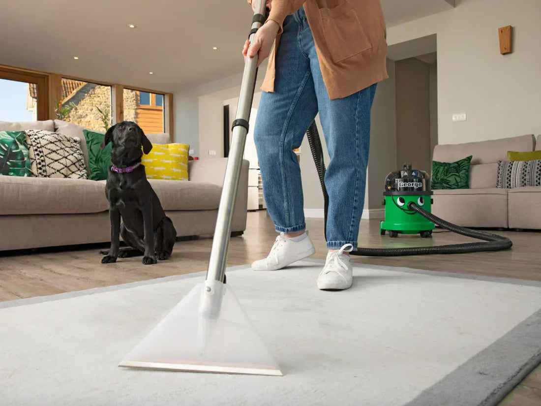 A person vacuuming a carpet using a Henry George vacuum cleaner