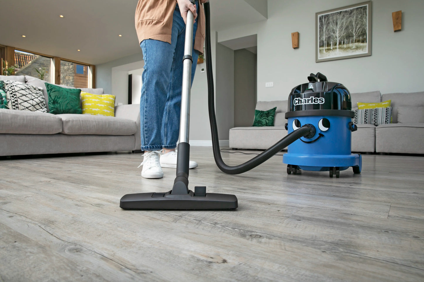 Henry For Wet And Dry Messes - Henry For Home