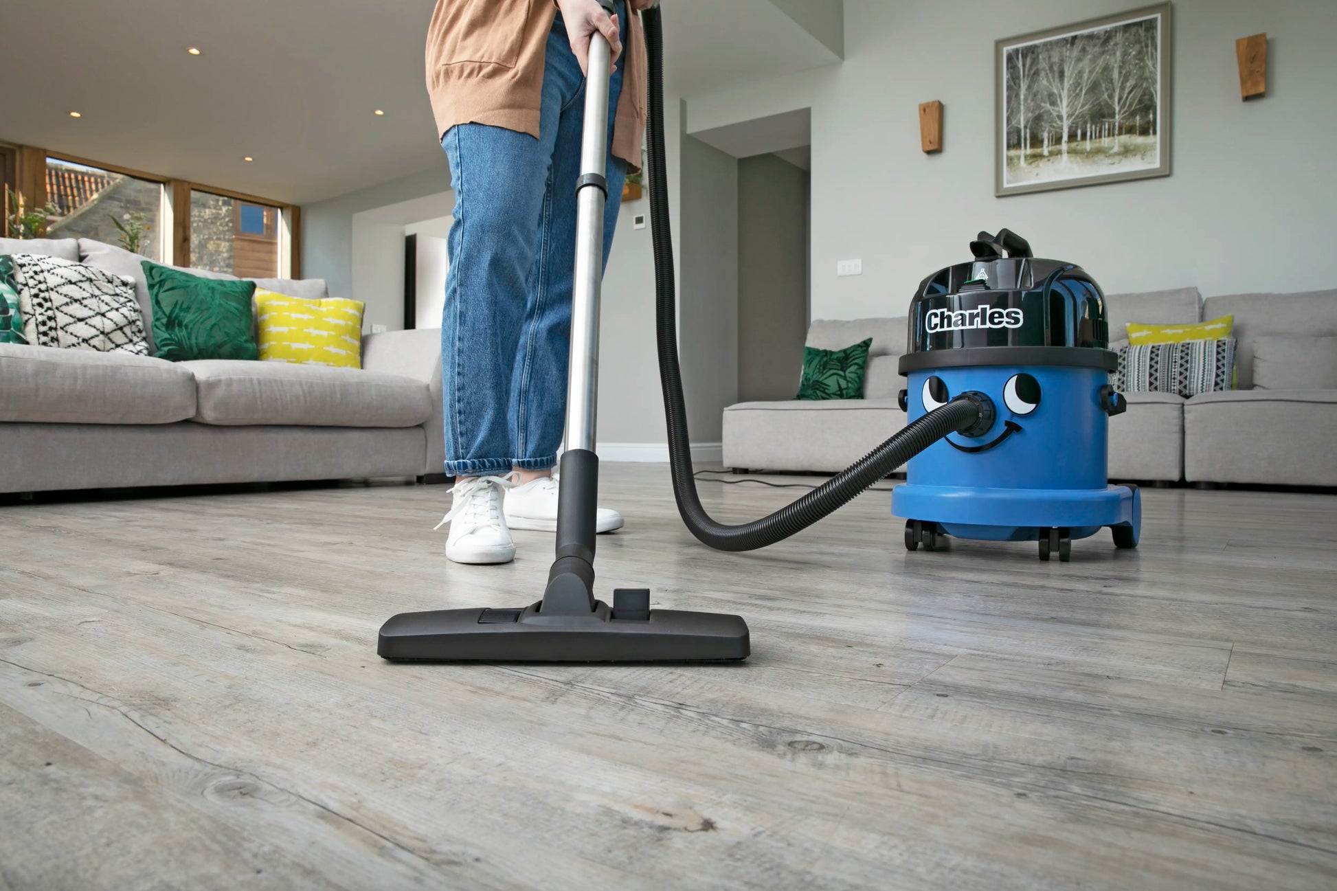 Henry For Wet And Dry Messes - Henry For Home