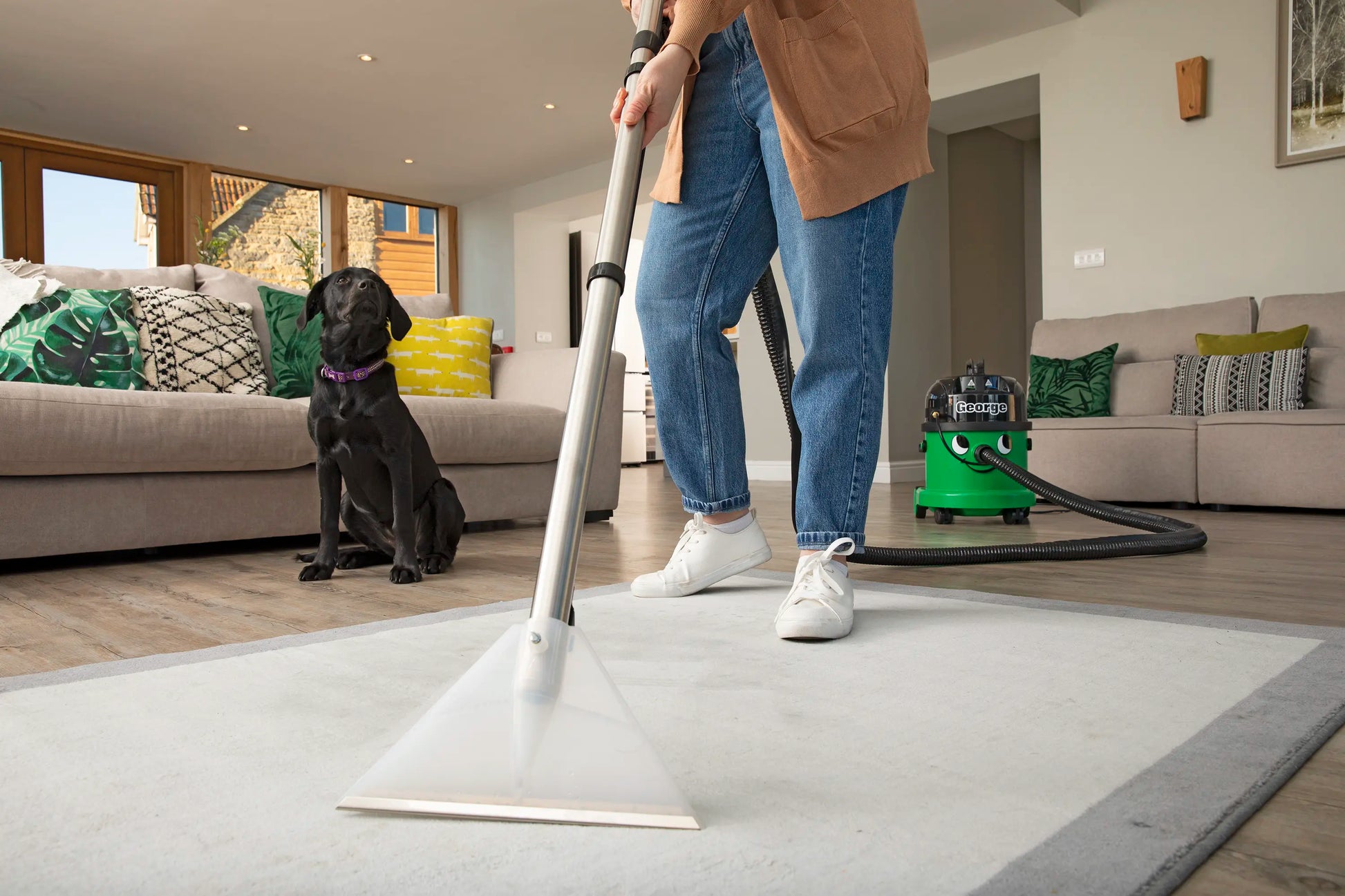 Carpet Cleaner - Henry For Home