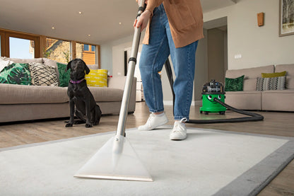 Carpet Cleaner - Henry For Home