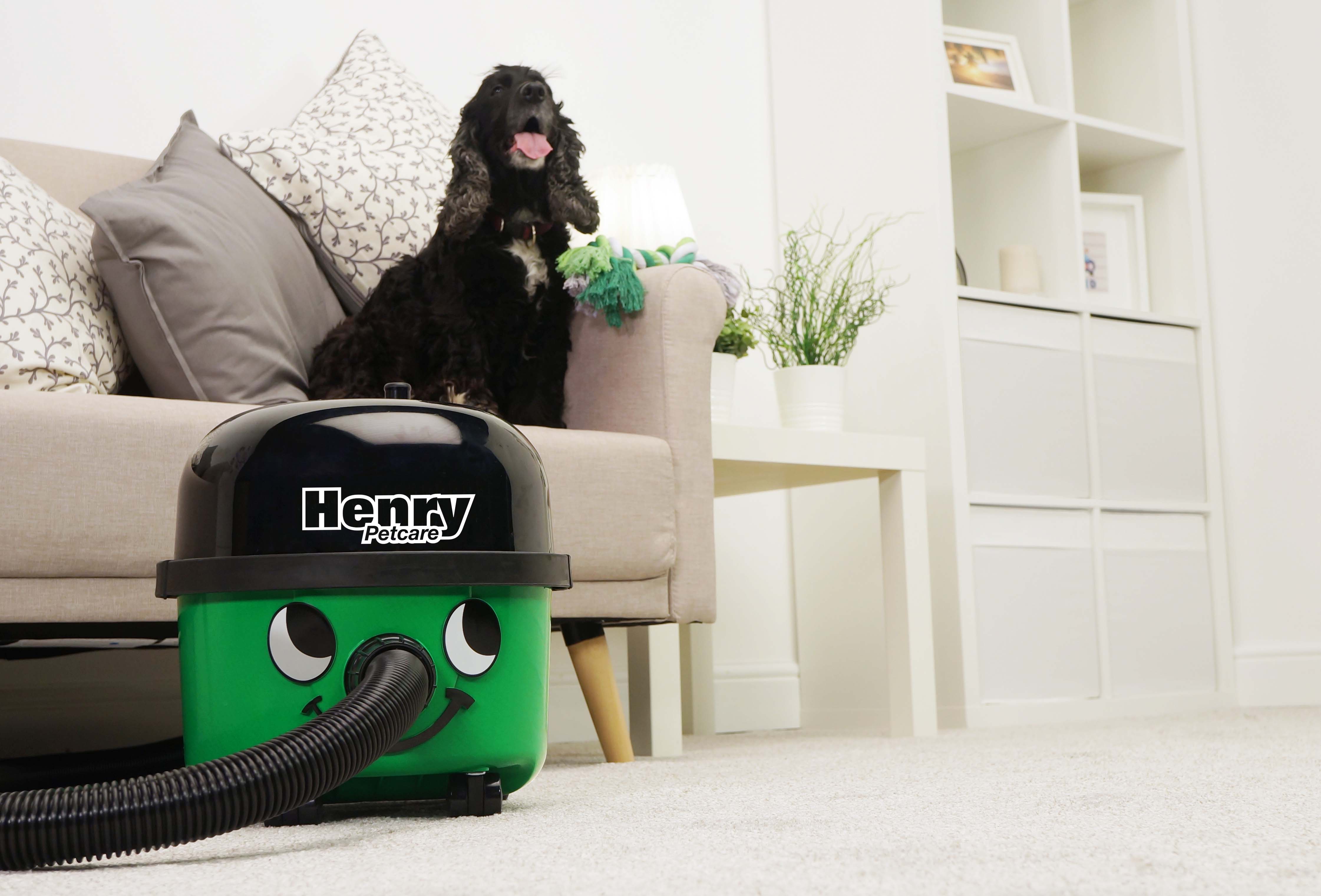 Henry Petcare 160 Canister Vacuum | Henry for Home