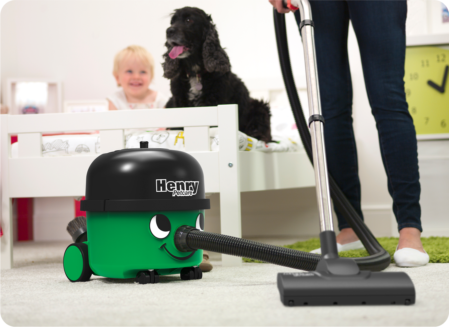 Tackle Pet Messes Like A Pro - Henry For Home
